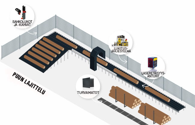 Sahalaitoksen puun lajittelu