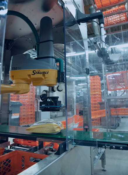 Kuljettimen yläpuolelle asennettu Basler 3D ToF -kamera