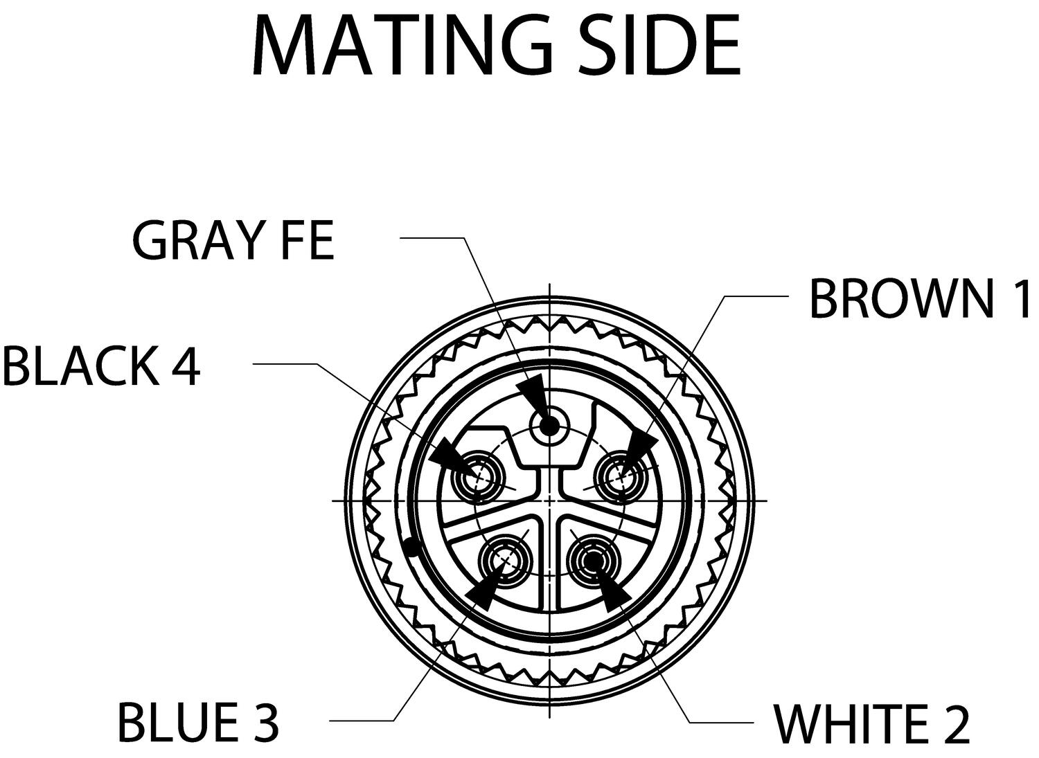 BRAD M12 PWR LC str female.eps