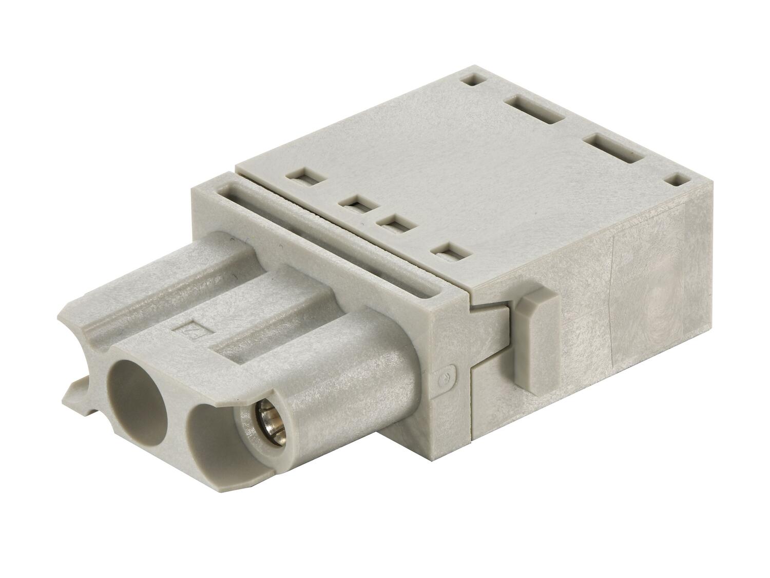 Han-Modular C 3-napainen naaras