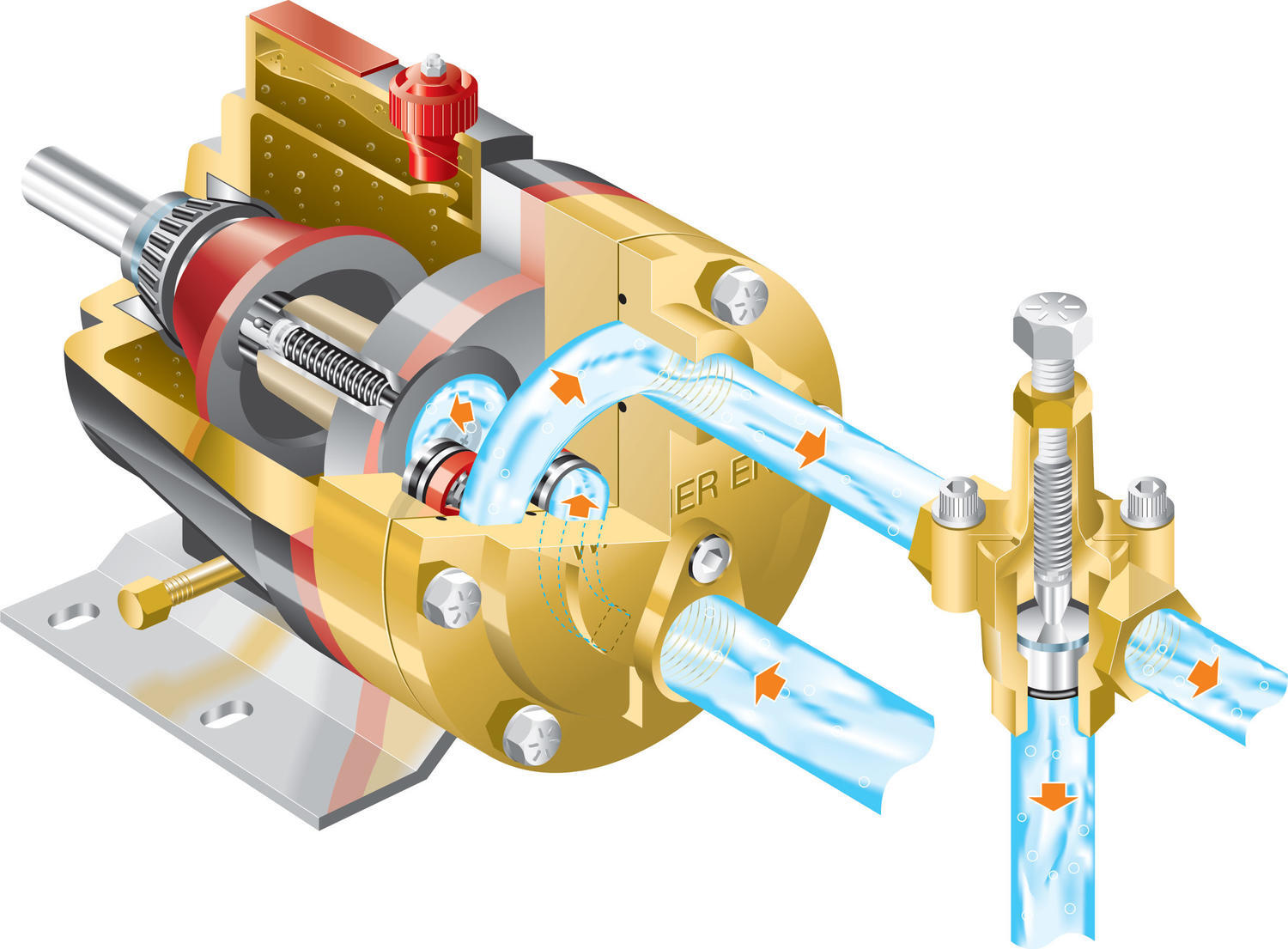 Hydra-Cell -kalvopumput G10 Plast läpileikkuu