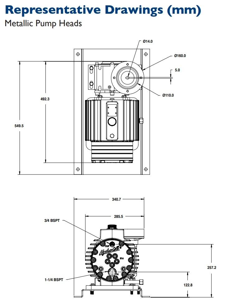 Hydra-Cell kalvopumput P600 manuaali