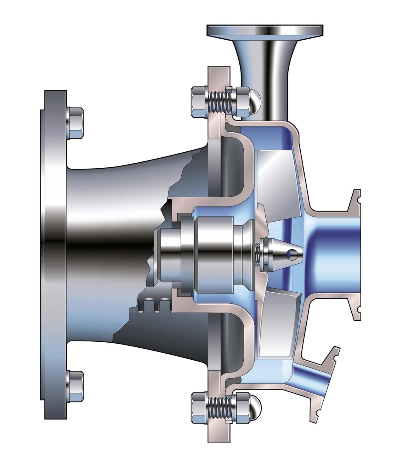 Hygieeninen EHEDG ja 3A keskipakopumppu poikkikuva