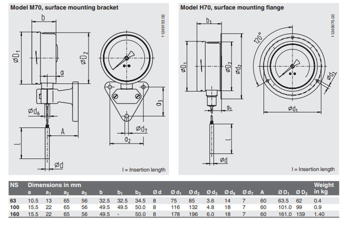 Kapillaarilämpötilamittari, ruostumaton teräs datasivu