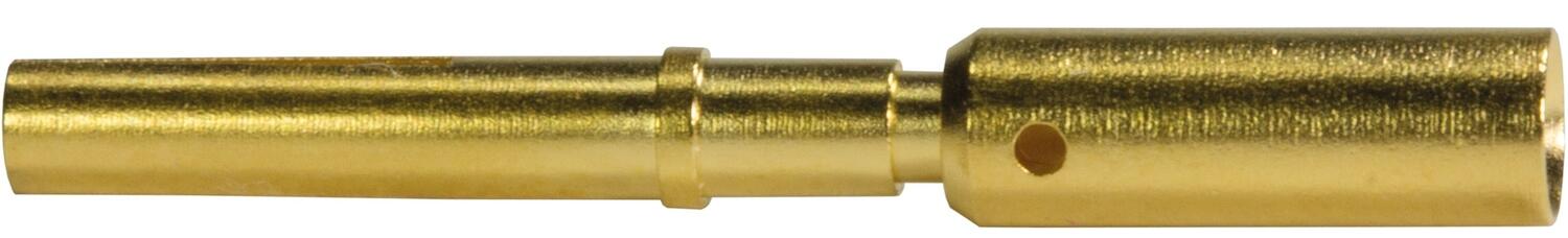 Kosketinhylsy M12 Power