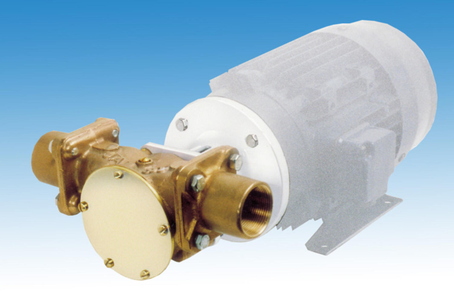 Kumisiipipumppu pronssinen