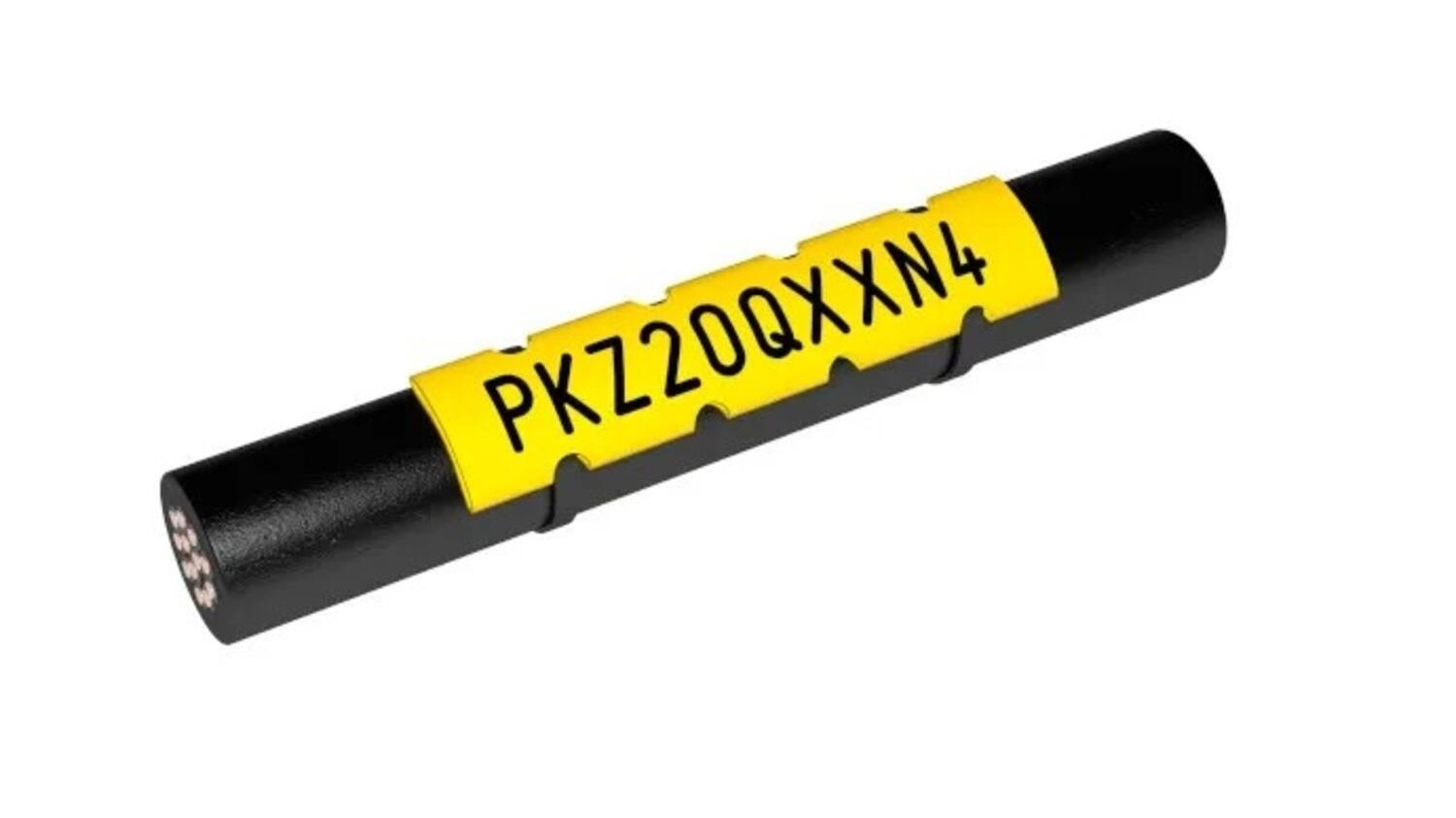 Kutistesukka keltainen