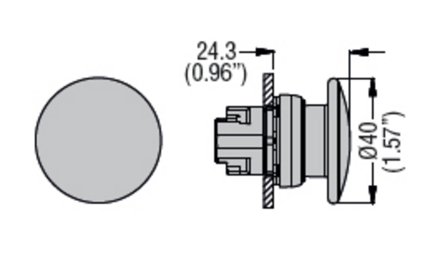Metallinen sienipainike mittakuva