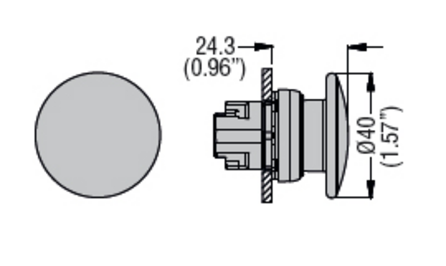 Metallinen sienipainike palautuva 40 mm mittakuva