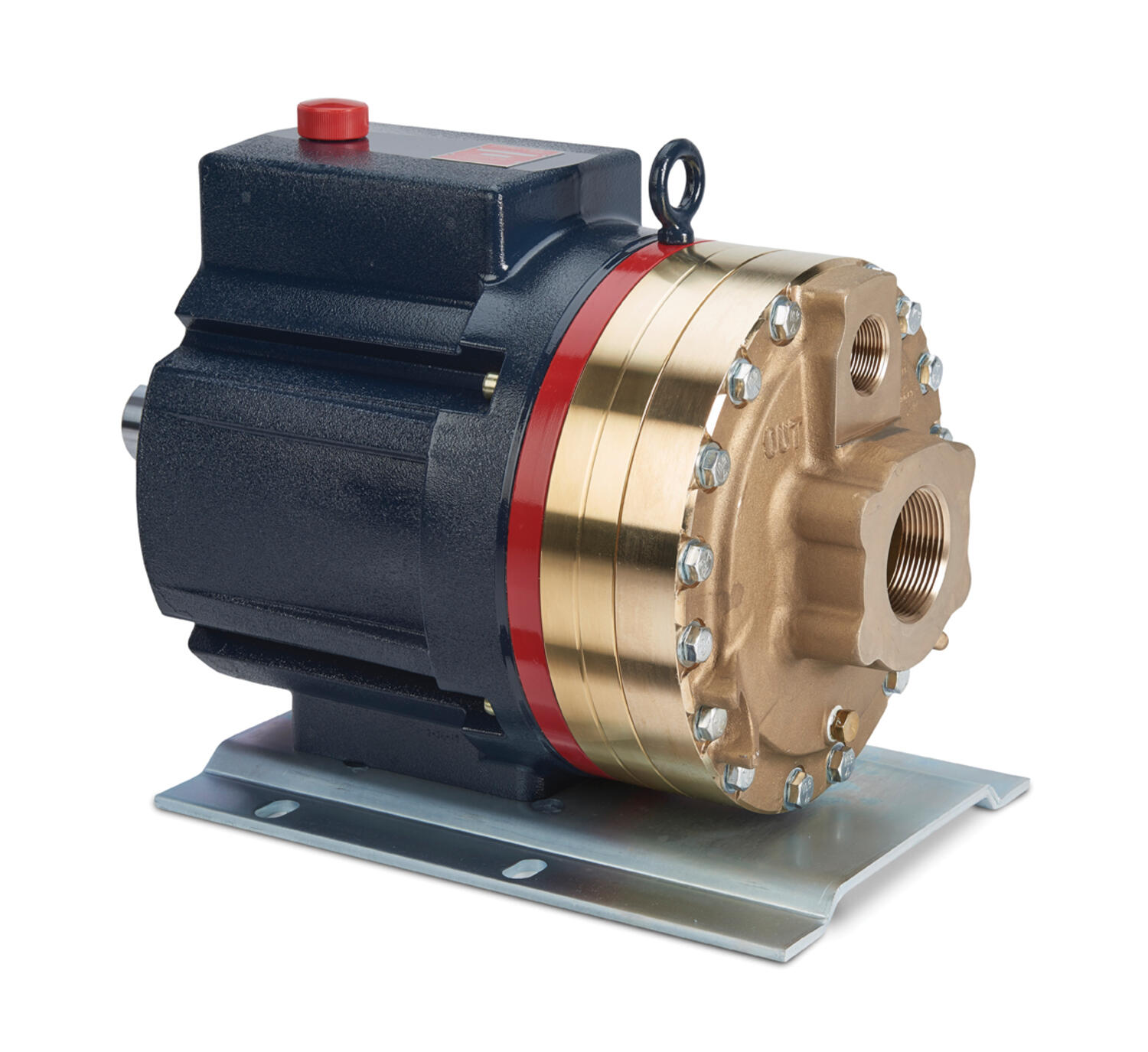 Mono-Block Pumppu Ruostumaton teräs