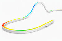 Neon flex VL-SI2020.png