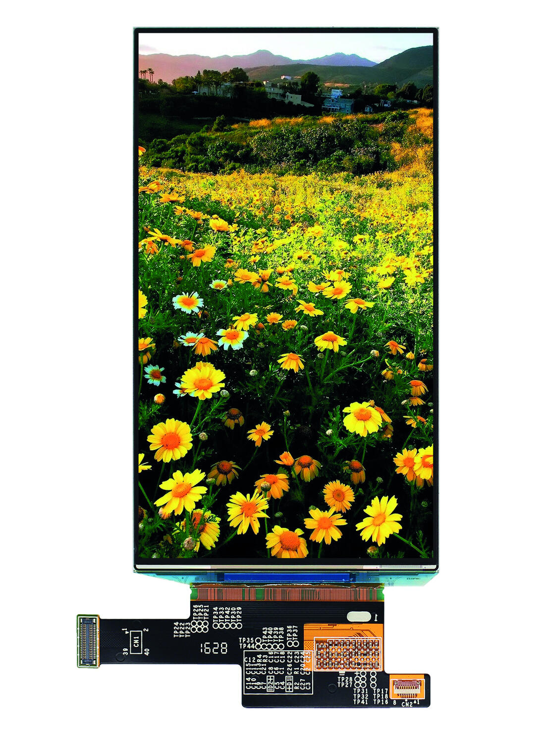 TFT-näyttö, LCD-näyttö ja OLED-näyttö