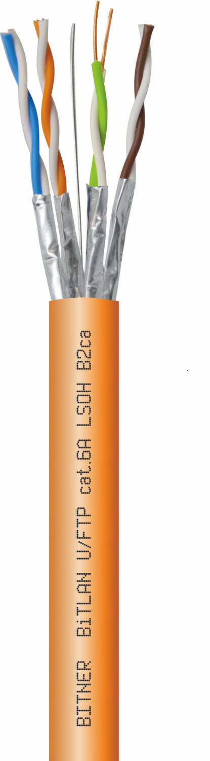 TI0117_bitlan u_ftp cat. 6a lsoh b2ca - zdjęcie kabla.png