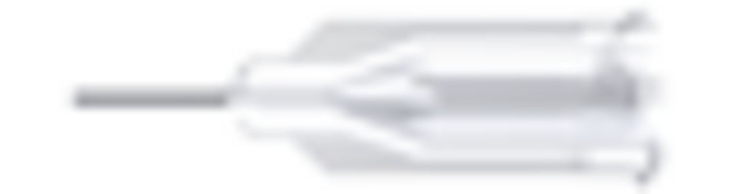 Tyyppi 2 kärki, kirkas